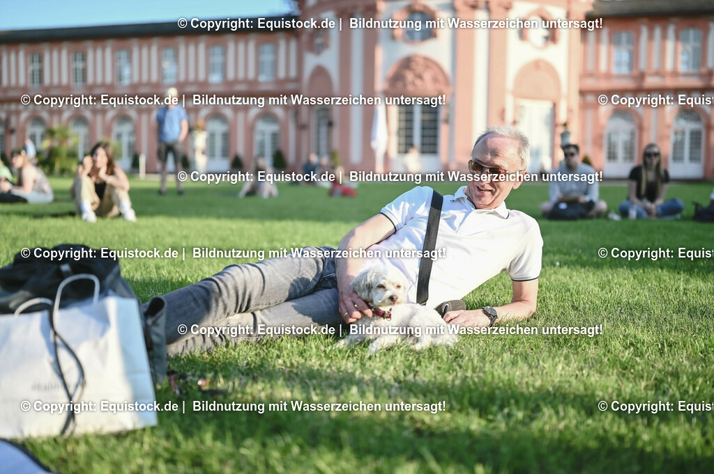 D78_3837 | equistock