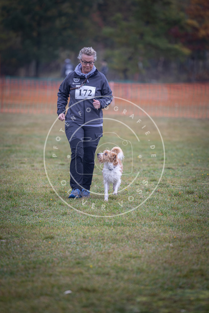 Pfotenfotografie_DV3A9190 | Hundefotografie, Tierfotograf, Pfotenfotografie, Fotoshooting Hund, Hunde Portrait, Hundesport, Hundeportraits, Heideshooting, Hunde, Sportfotograf, Hundefotograf, Turnierhundsport, THS,  - Realisiert mit Pictrs.com