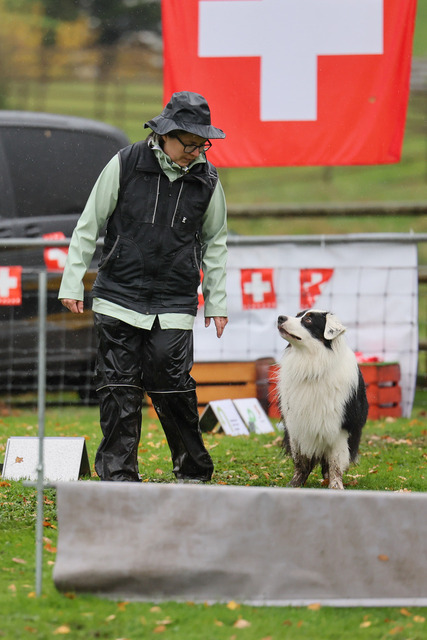 2025_Rally_Obedience_SM-256 | Ich fotografiere Hundeausstellungen, Sportanlässe, Zuchtstätten, Hundezucht, Hundeportrait, Lagotto - Realisiert mit Pictrs.com