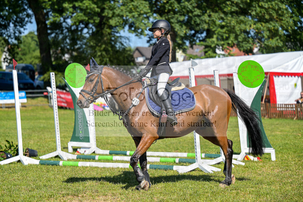 Reitturnier Voxtrup | Entdecke hochwertige Reitturnierfotos von Foto Oger. Professionell, emotional und authentisch – jetzt Lieblingsmomente im Shop bestellen.Deutschlandweite Turnierfotografie. - Realisiert mit Pictrs.com
