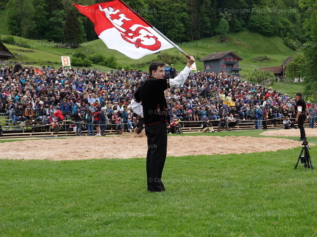 DSC07136 | Schwingen - Realisiert mit Pictrs.com