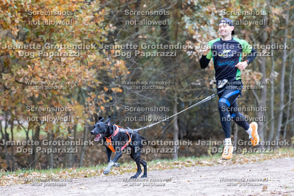 Dog Paparazzi - SD CaniX Championship 2025-608 | Dog Paparazzi Jeanette Grottendiek Fotografie & Videografie - Realisiert mit Pictrs.com