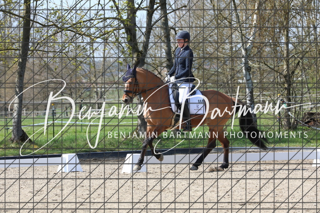 AZ2A5493 | Benjamin Bartmann Photomoments