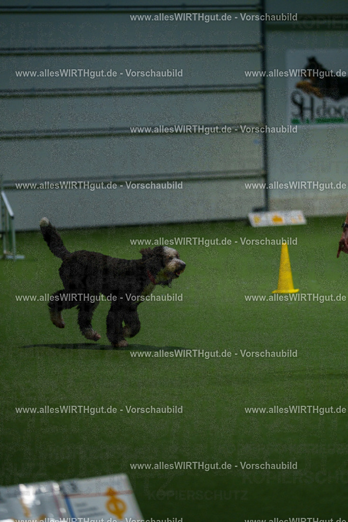 7R508106 | Professionelle Tierfotografie in Mönchengladbach von Daniel Wirth (allesWIRTHgut). Liebevolle & natürliche Bilder von Hunden & Katzen für unvergessliche Erinnerungen.