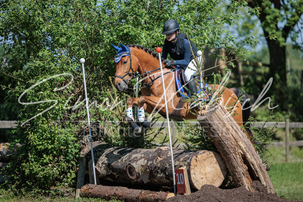 20260523-_3LI7089 | Tierfotografie Pferde, Hunde, Katzen, Haustiere.
Turnierfotografie Reitturniere, Reiten, Springreiten, Dressur in Hanau, dem Main-Kinzig-Kreis und dem Rhein-Main- Gebiet um Frankfurt