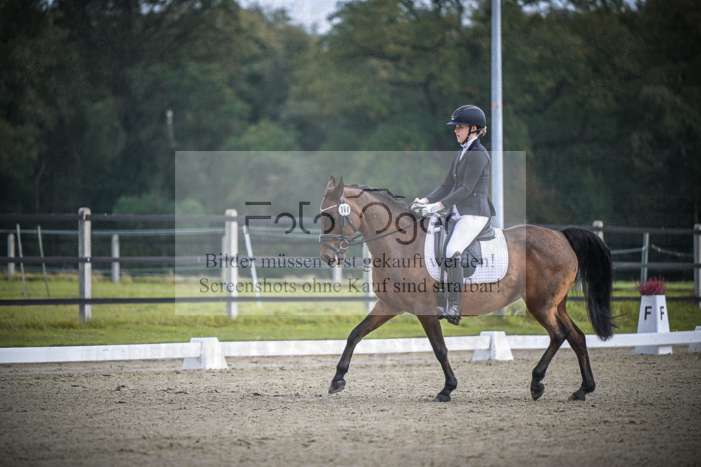 DOS_B457 | Entdecke hochwertige Reitturnierfotos von Foto Oger. Professionell, emotional und authentisch – jetzt Lieblingsmomente im Shop bestellen.Deutschlandweite Turnierfotografie. - Realisiert mit Pictrs.com