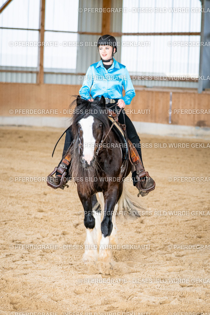 DSC08869 | Pferdegrafie