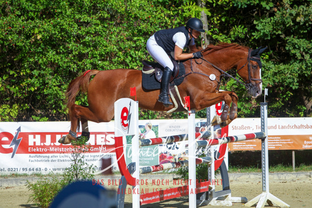 DKP43416 | Turniersportfotografie; Pferdefotografie; Dressurfotografie