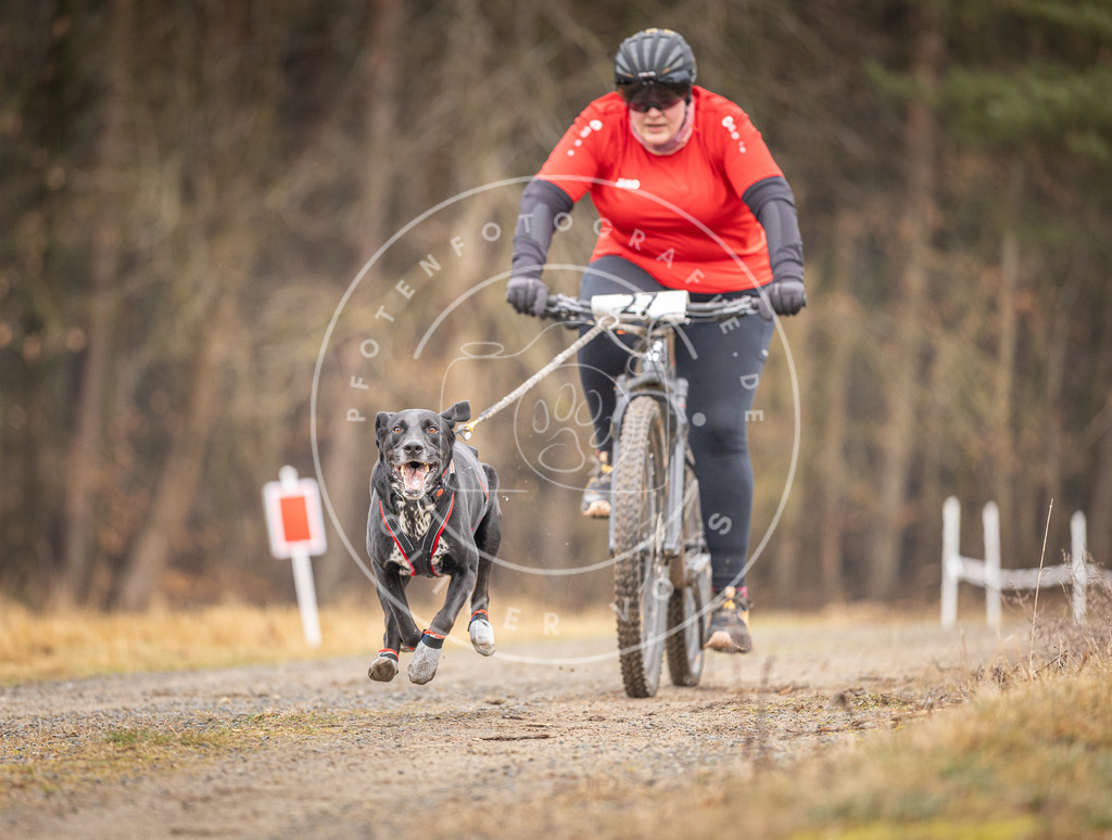 DV3A3336 | Hundefotografie, Tierfotograf, Pfotenfotografie, Fotoshooting Hund, Hunde Portrait, Hundesport, Hundeportraits, Heideshooting, Hunde, Sportfotograf, Hundefotograf, Turnierhundsport, THS,  - Realisiert mit Pictrs.com