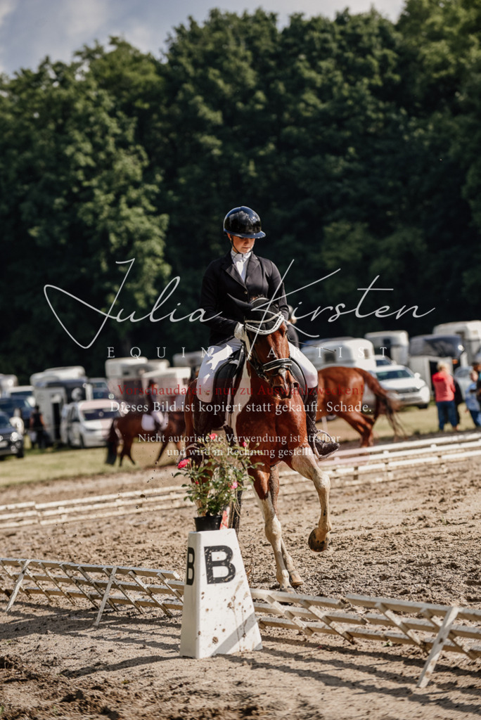 DSC_8809 | Pferde- und Turnierfotografie in Westsachsen. Pferdeportraits, Auftragszeichnungen und intuitive Kunst.