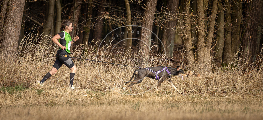 DV3A3906 | Hundefotografie, Tierfotograf, Pfotenfotografie, Fotoshooting Hund, Hunde Portrait, Hundesport, Hundeportraits, Heideshooting, Hunde, Sportfotograf, Hundefotograf, Turnierhundsport, THS,  - Realisiert mit Pictrs.com