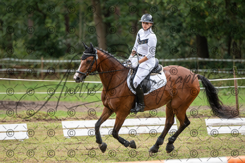 SHT_7615 | andre_photographic