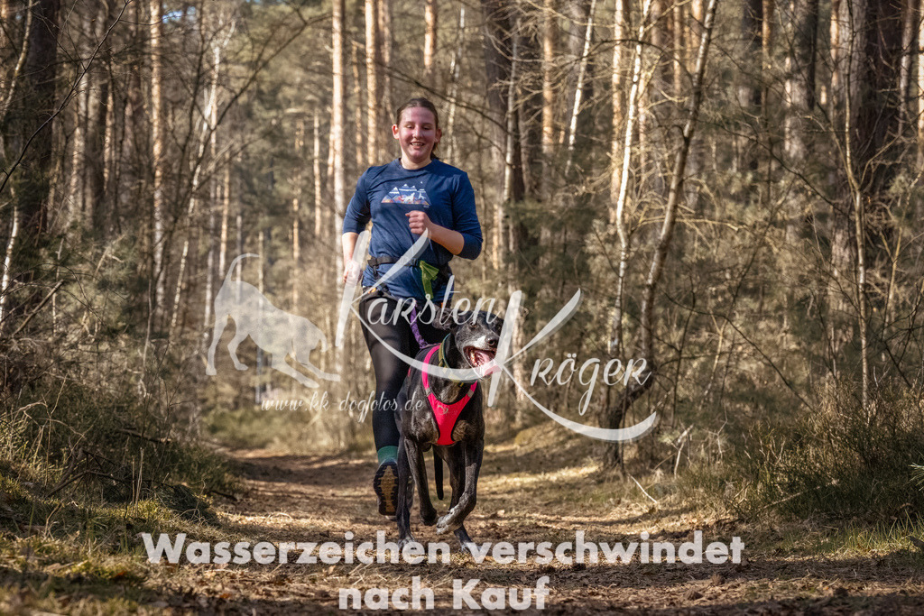 1247_ZZ94259-Bearbeitet | kk-dogfotos