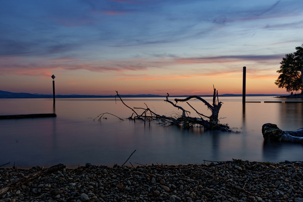 2022_06_14 A7402356 | bridgeman - Realisiert mit Pictrs.com