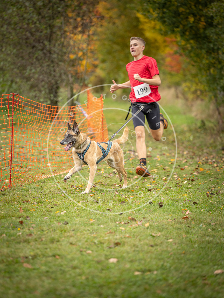 Pfotenfotografie_DV3A3813 | Hundefotografie, Tierfotograf, Pfotenfotografie, Fotoshooting Hund, Hunde Portrait, Hundesport, Hundeportraits, Heideshooting, Hunde, Sportfotograf, Hundefotograf, Turnierhundsport, THS,  - Realisiert mit Pictrs.com