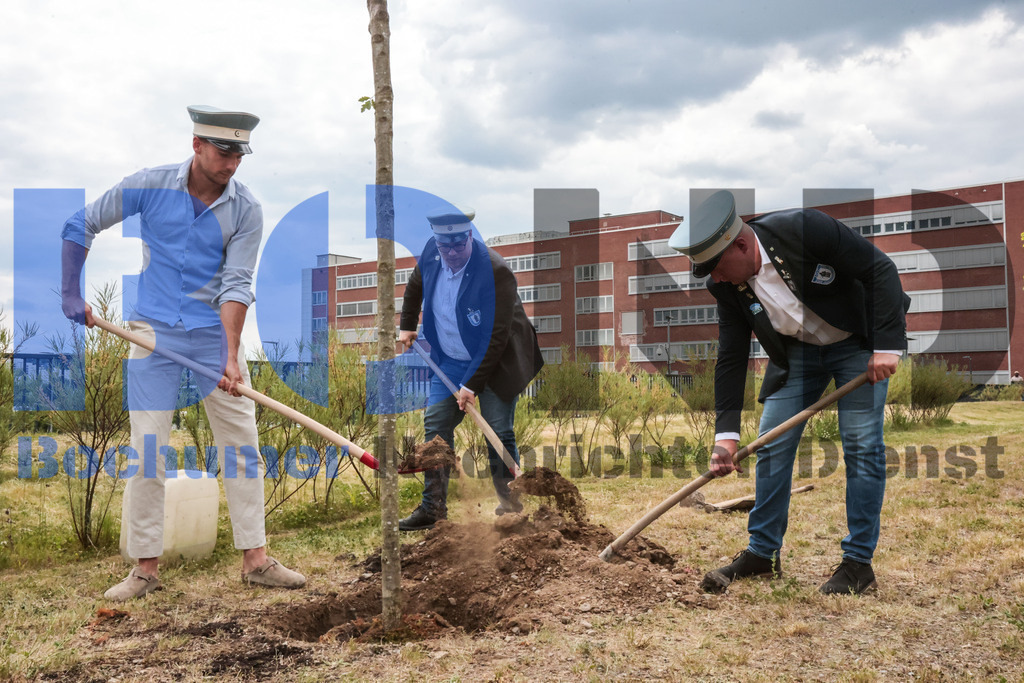 Eicheingrabung | Eicheingrabung - Realisiert mit Pictrs.com