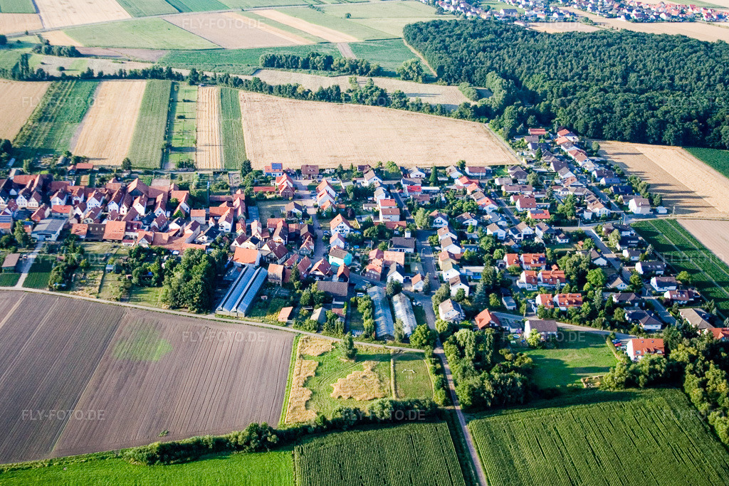 Luftbild: Ortsansicht von Süden in Erlenbach bei Kandel im Bundesland Rheinland-Pfalz in Deutschland. Foto: IMG_11733.jpg vom 25.07.2008 durch Werner Riehm/FLY-FOTO.de