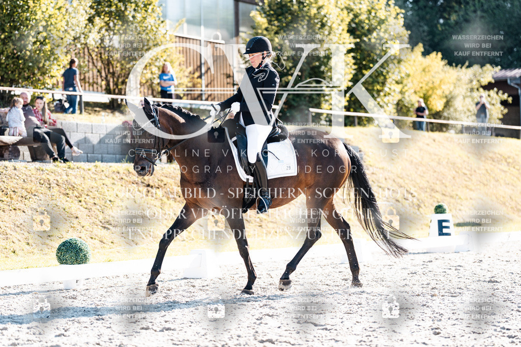CK906376 | Turnierfotografie Pferdefotografie Trier Rheinland-Pfalz Pferdesport Reitsport Tierfotografie Sportfotografie Pferdevideo Pferdevideografie Equestrianvideography equestrianphotography  - Realisiert mit Pictrs.com