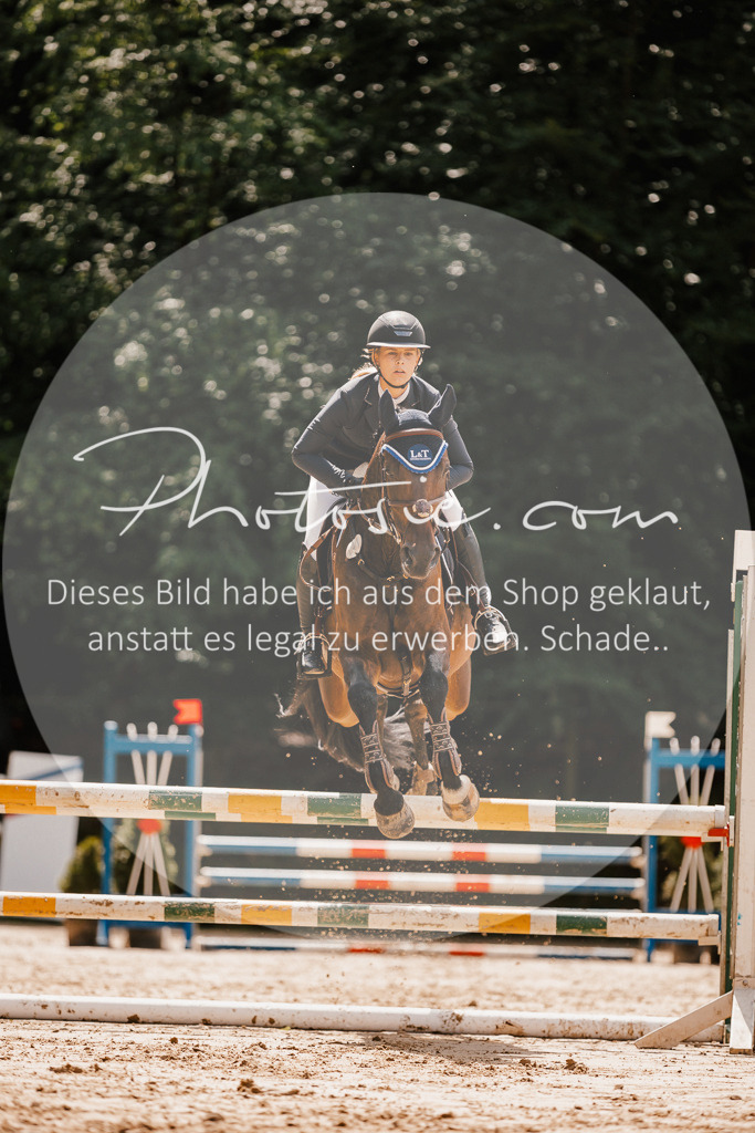 3I6A2388 | Stimmungsvolle Portraits und Reitsportfotografie im Ruhrgebiet und im Münsterland.

Pferdefotografie, Hundefotografie, Tierfotografie, Reportagen, Portraits von Tier und Mensch, Turnierfotografie in Bochum, Recklinghausen, Marl, Haltern am See, Dülmen.. - Realisiert mit Pictrs.com