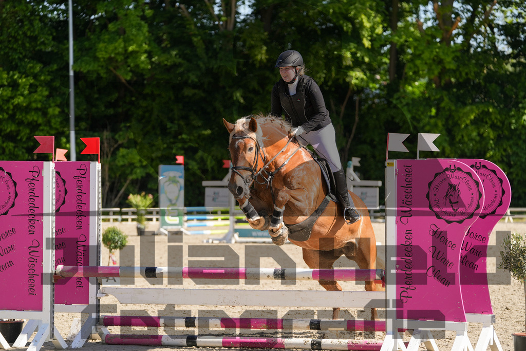 DSC02084 | Julian Held Fotografie - Realisiert mit Pictrs.com