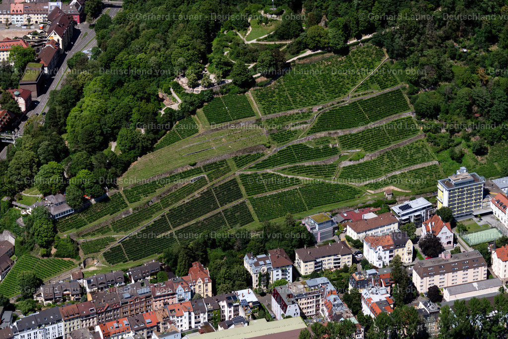 4033093 | OBERAU 30.06.2020 Felder einer Weinbergs- und Rebstocks- Landschaft der Winzer- Gebiete  in Oberau im Bundesland Baden-Württemberg, Deutschland // Fields of wine cultivation landscape  in Oberau in the state Baden-Wuerttemberg, Germany Foto: Gerhard Launer