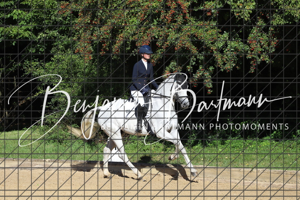 IMG_5267 | Benjamin Bartmann Photomoments