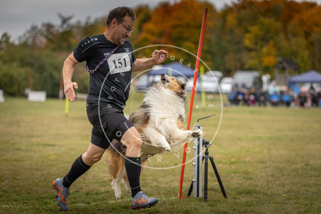 Pfotenfotografie_DV3A6410 | Hundefotografie, Tierfotograf, Pfotenfotografie, Fotoshooting Hund, Hunde Portrait, Hundesport, Hundeportraits, Heideshooting, Hunde, Sportfotograf, Hundefotograf, Turnierhundsport, THS,  - Realisiert mit Pictrs.com
