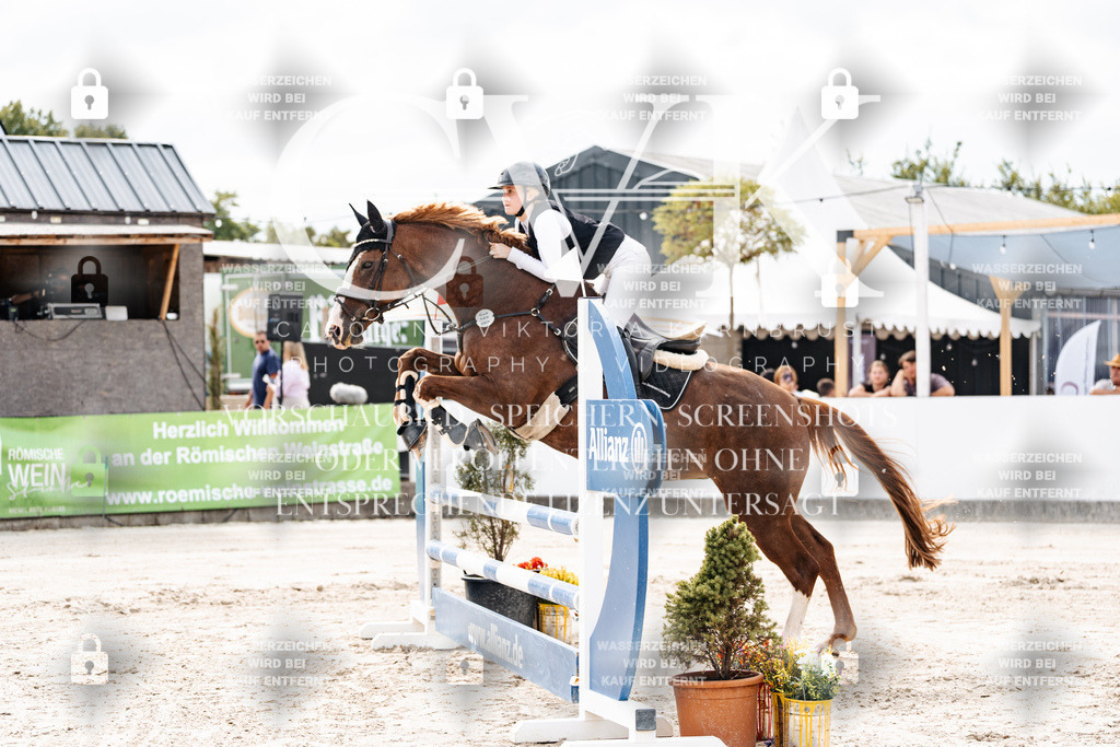 CK902070 | Turnierfotografie Pferdefotografie Trier Rheinland-Pfalz Pferdesport Reitsport Tierfotografie Sportfotografie Pferdevideo Pferdevideografie Equestrianvideography equestrianphotography  - Realisiert mit Pictrs.com