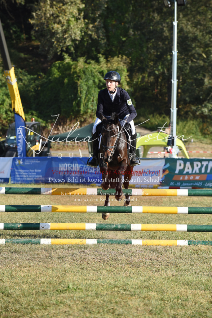 DSC_5055 | Pferde- und Turnierfotografie in Westsachsen. Pferdeportraits, Auftragszeichnungen und intuitive Kunst.