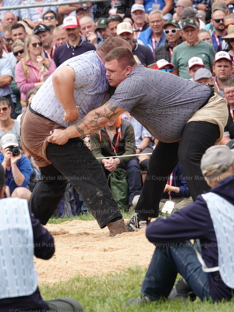 DSC04944 | Schwingen - Realisiert mit Pictrs.com