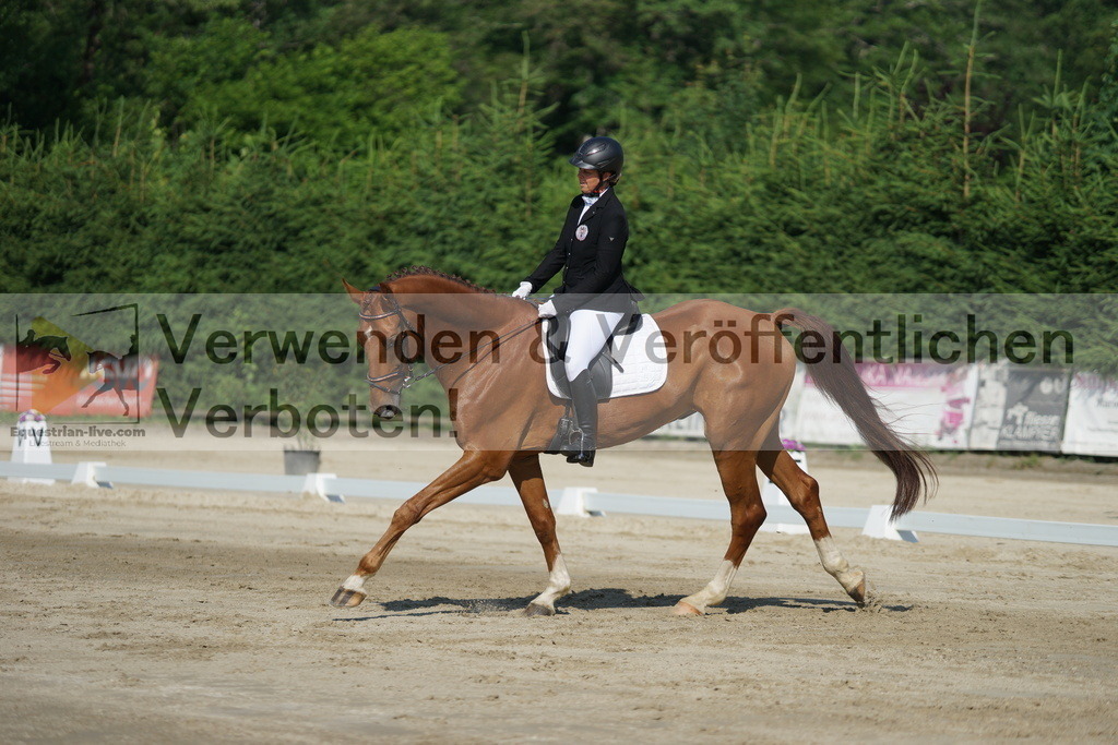 DSC01360 | equestrian-live-com