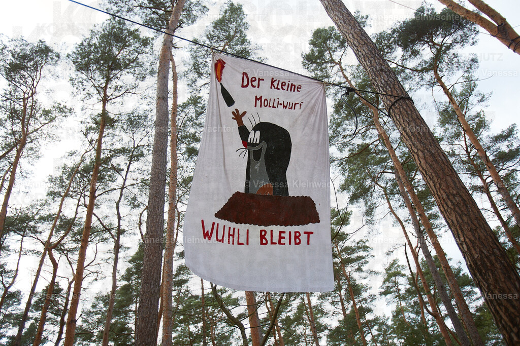 240310 TeslaNeinDanke_76 | Vanessa Kleinwächter - Realisiert mit Pictrs.com