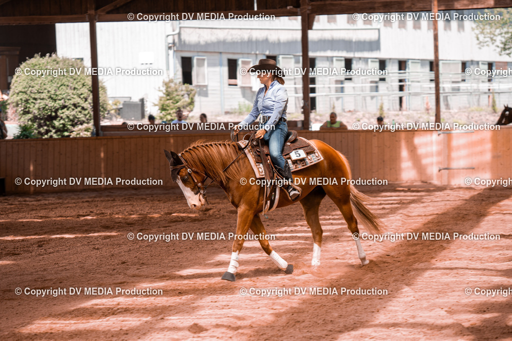 NE200829 | dv-media-shop - Realisiert mit Pictrs.com