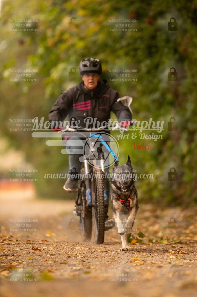 CDLBDB_14_10_2023_Samedi-119 | PayLife