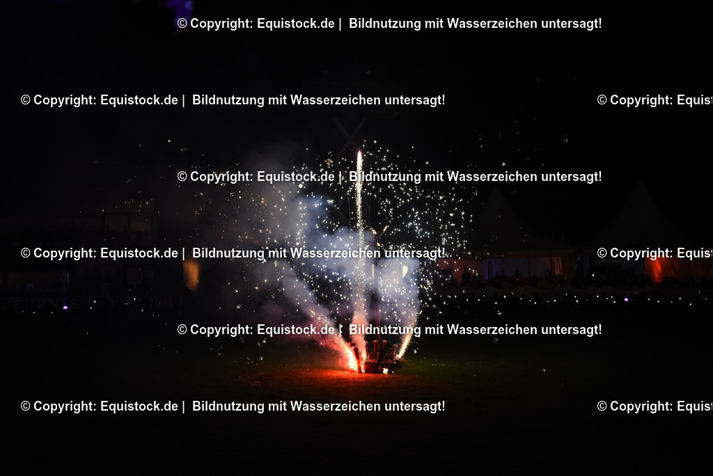 20230526_Pferdenacht_1625 | equistock