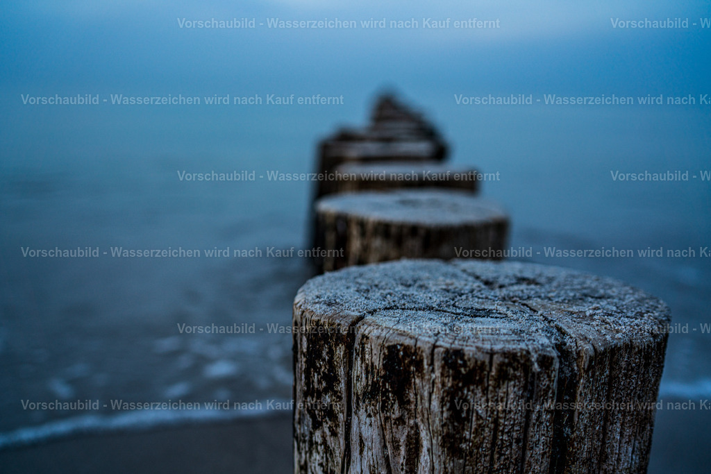 DSC03768 | marcuslinek