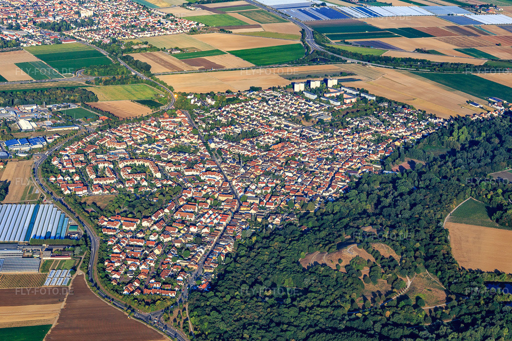 Luftbild: Michaelsberg im Maudacher Bruch (Monte Scherbelino) im Ortsteil Maudach in Ludwigshafen im Bundesland Rheinland-Pfalz in Deutschland. Foto: IMG_109573.jpg vom 31.07.2018 durch Werner Riehm/FLY-FOTO.de