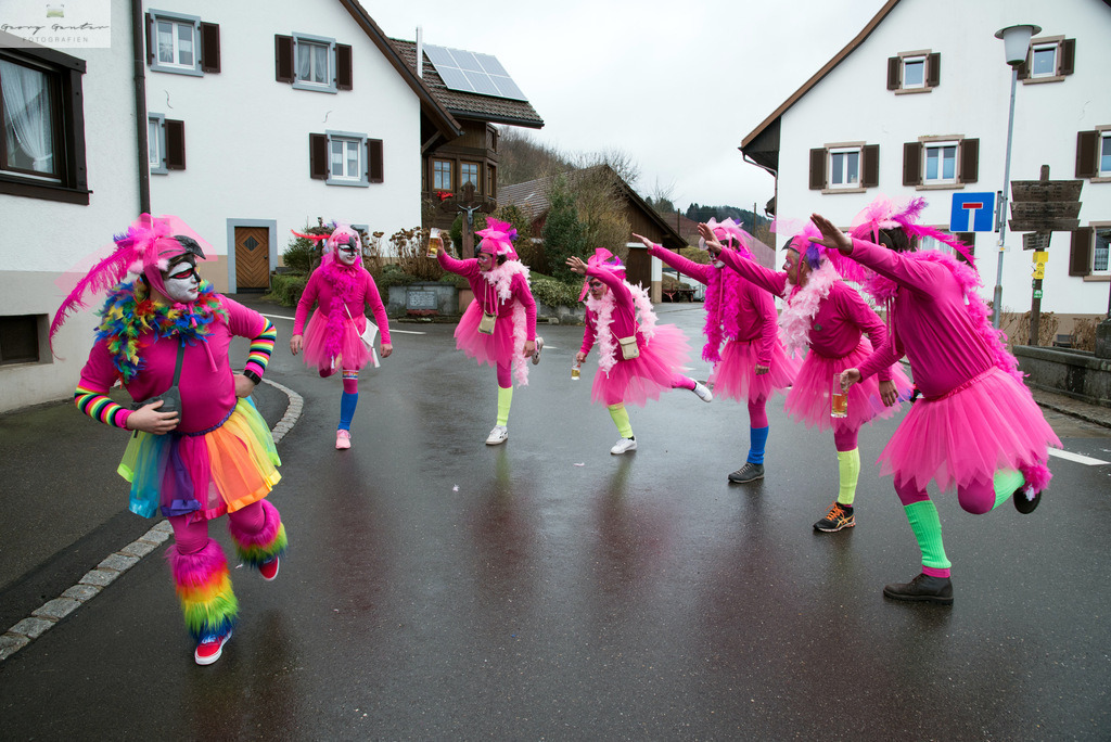 FastSonn_23-066 | Fotoblog Schwarzwald, Foto Blog Wiesental, Pfaffenberg, Winterzauber, Zeller Bergland, Zell im Wiesental, Fotoblog Wiesental, Landschaftsfotos, Bilder Wiesental, Natur, Naturbilder, Fastnacht, Zeller Fastnacht, Zeller Fasnacht, Zeller Bergland, Belchen, - Realisiert mit Pictrs.com
