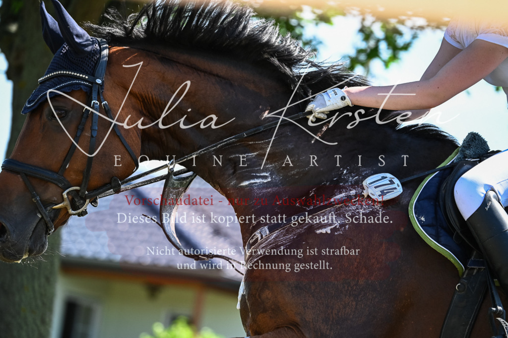 DSC_1686 | Pferde- und Turnierfotografie in Westsachsen. Pferdeportraits, Auftragszeichnungen und intuitive Kunst.
