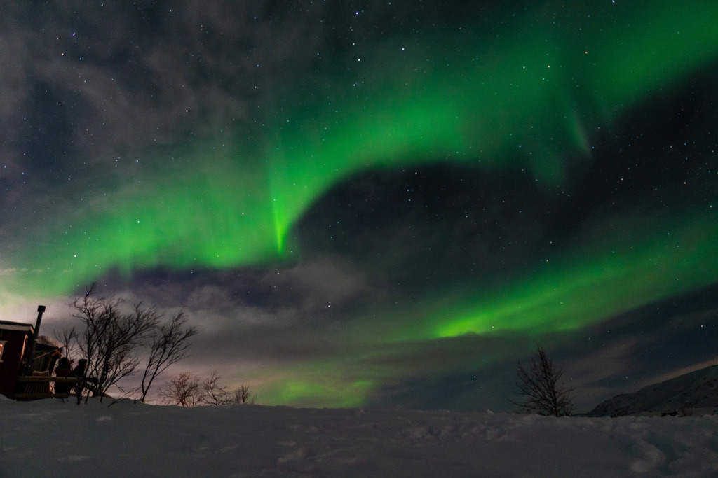 Polarlichter in Norwegen | freigereist - Realisiert mit Pictrs.com