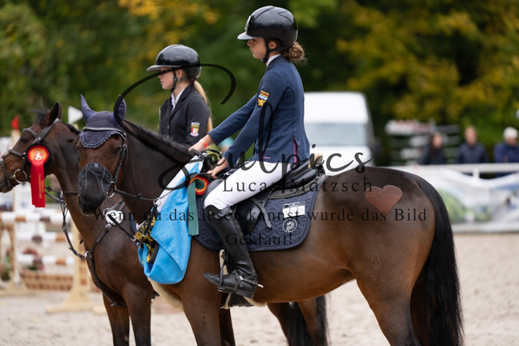 A7V09610 | Pferdefotograf