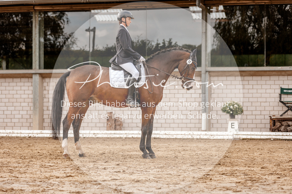 3I6A7162 | Stimmungsvolle Portraits und Reitsportfotografie im Ruhrgebiet und im Münsterland.

Pferdefotografie, Hundefotografie, Tierfotografie, Reportagen, Portraits von Tier und Mensch, Turnierfotografie in Bochum, Recklinghausen, Marl, Haltern am See, Dülmen.. - Realisiert mit Pictrs.com