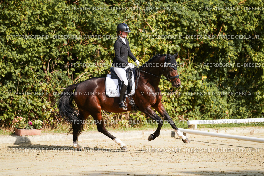 DSC08012 | Pferdegrafie