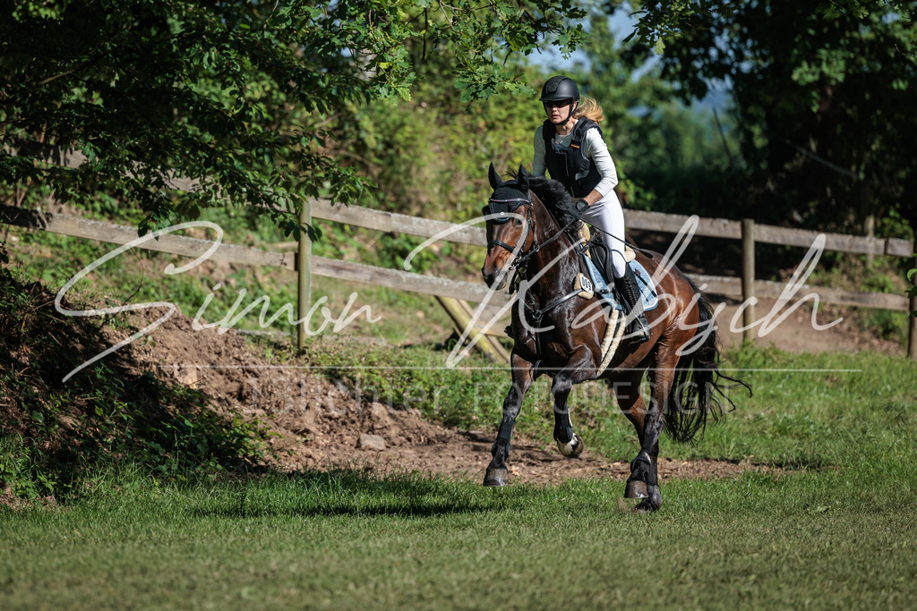 20260523-_3LI6312 | Tierfotografie Pferde, Hunde, Katzen, Haustiere.
Turnierfotografie Reitturniere, Reiten, Springreiten, Dressur in Hanau, dem Main-Kinzig-Kreis und dem Rhein-Main- Gebiet um Frankfurt
