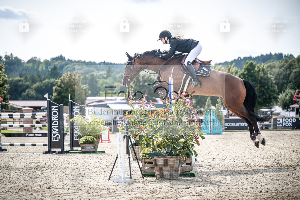 DOS_8884 | Entdecke hochwertige Reitturnierfotos von Foto Oger. Professionell, emotional und authentisch – jetzt Lieblingsmomente im Shop bestellen. - Realisiert mit Pictrs.com