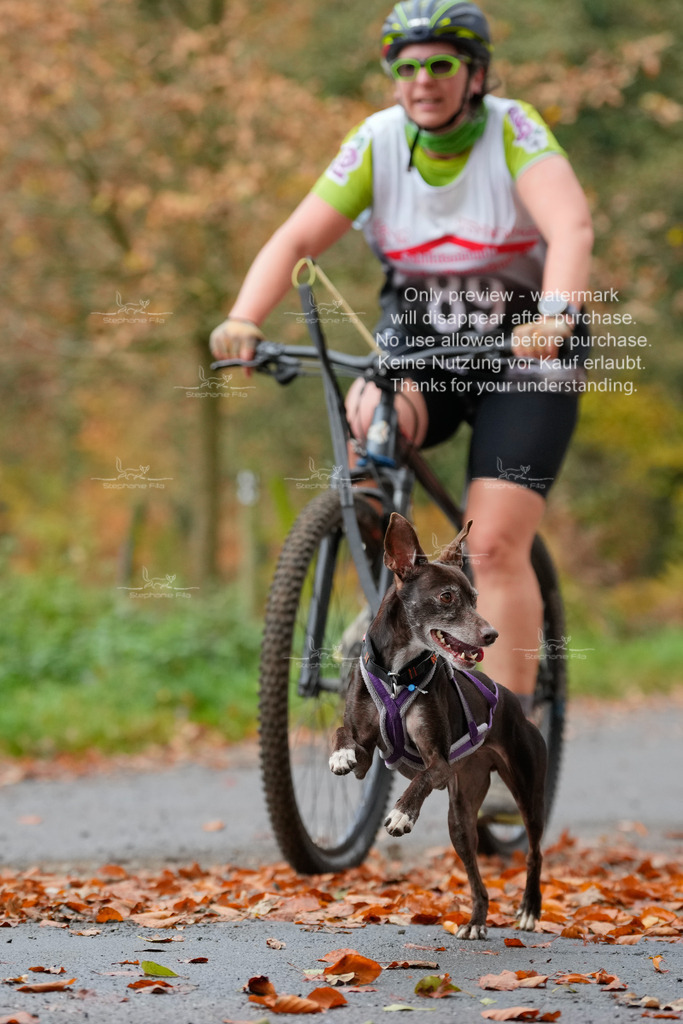 Bike_So-197 | stephaniefillaphotographie - Realisiert mit Pictrs.com