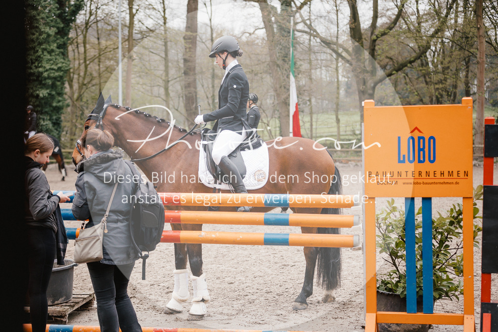 3I6A6294 | Stimmungsvolle Portraits und Reitsportfotografie im Ruhrgebiet und im Münsterland.

Pferdefotografie, Hundefotografie, Tierfotografie, Reportagen, Portraits von Tier und Mensch, Turnierfotografie in Bochum, Recklinghausen, Marl, Haltern am See, Dülmen.. - Realisiert mit Pictrs.com