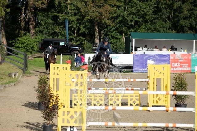 2B4A1041 | pixelfaenger - Realisiert mit Pictrs.com