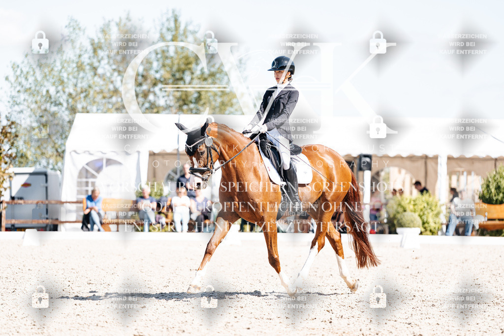 CK904027 | Turnierfotografie Pferdefotografie Trier Rheinland-Pfalz Pferdesport Reitsport Tierfotografie Sportfotografie Pferdevideo Pferdevideografie Equestrianvideography equestrianphotography  - Realisiert mit Pictrs.com