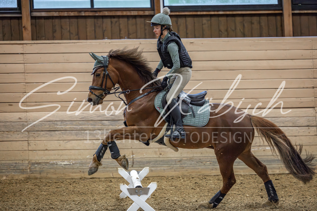 20260222-_3LI0726 | Tierfotografie Pferde, Hunde, Katzen, Haustiere.
Turnierfotografie Reitturniere, Reiten, Springreiten, Dressur in Hanau, dem Main-Kinzig-Kreis und dem Rhein-Main- Gebiet um Frankfurt